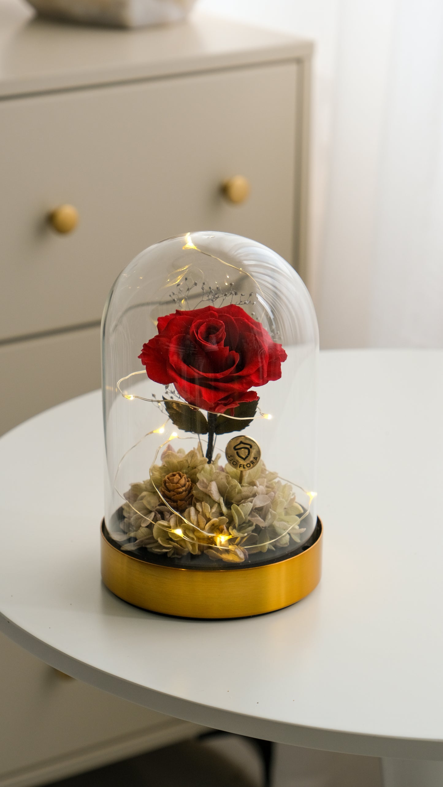 Beauty & the Beast LED Bell Jar