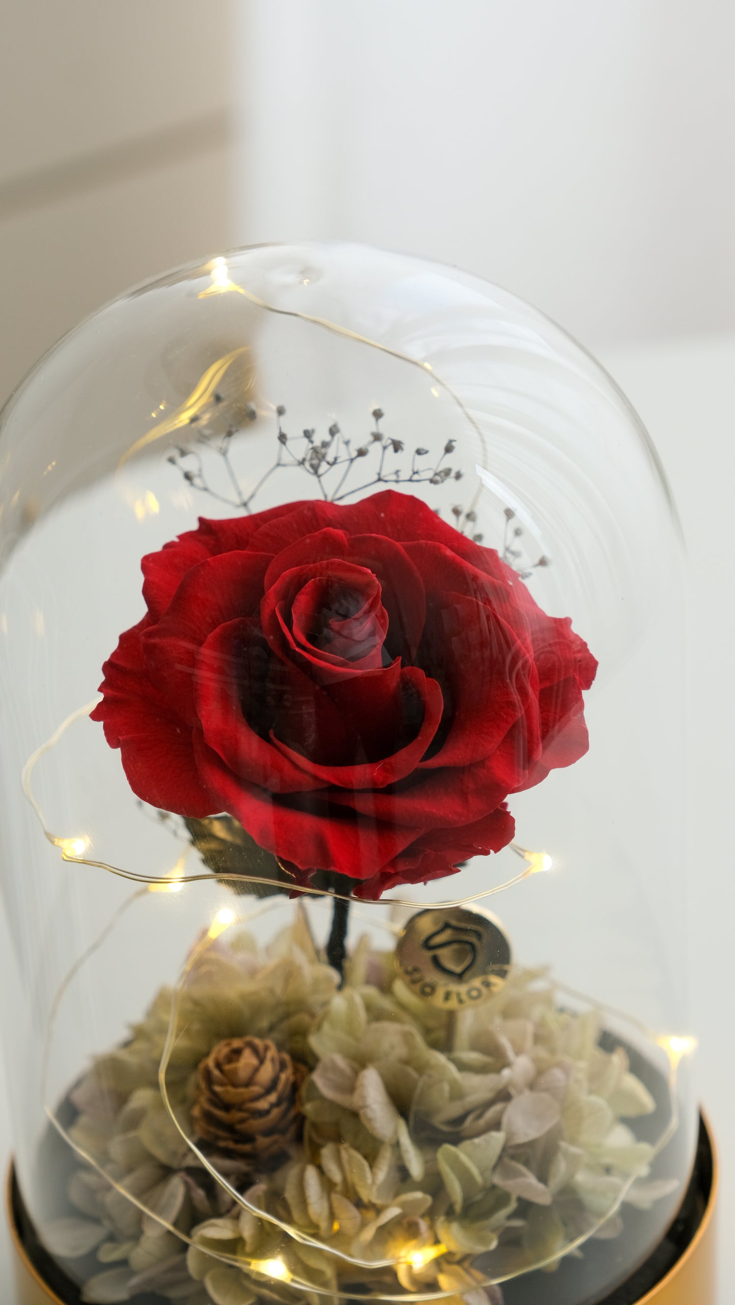 Beauty & the Beast LED Bell Jar