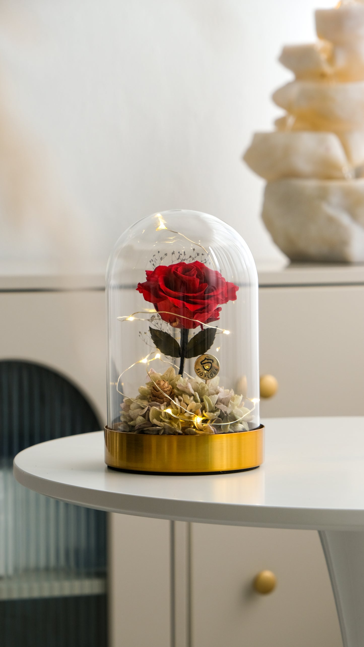 Beauty & the Beast LED Bell Jar