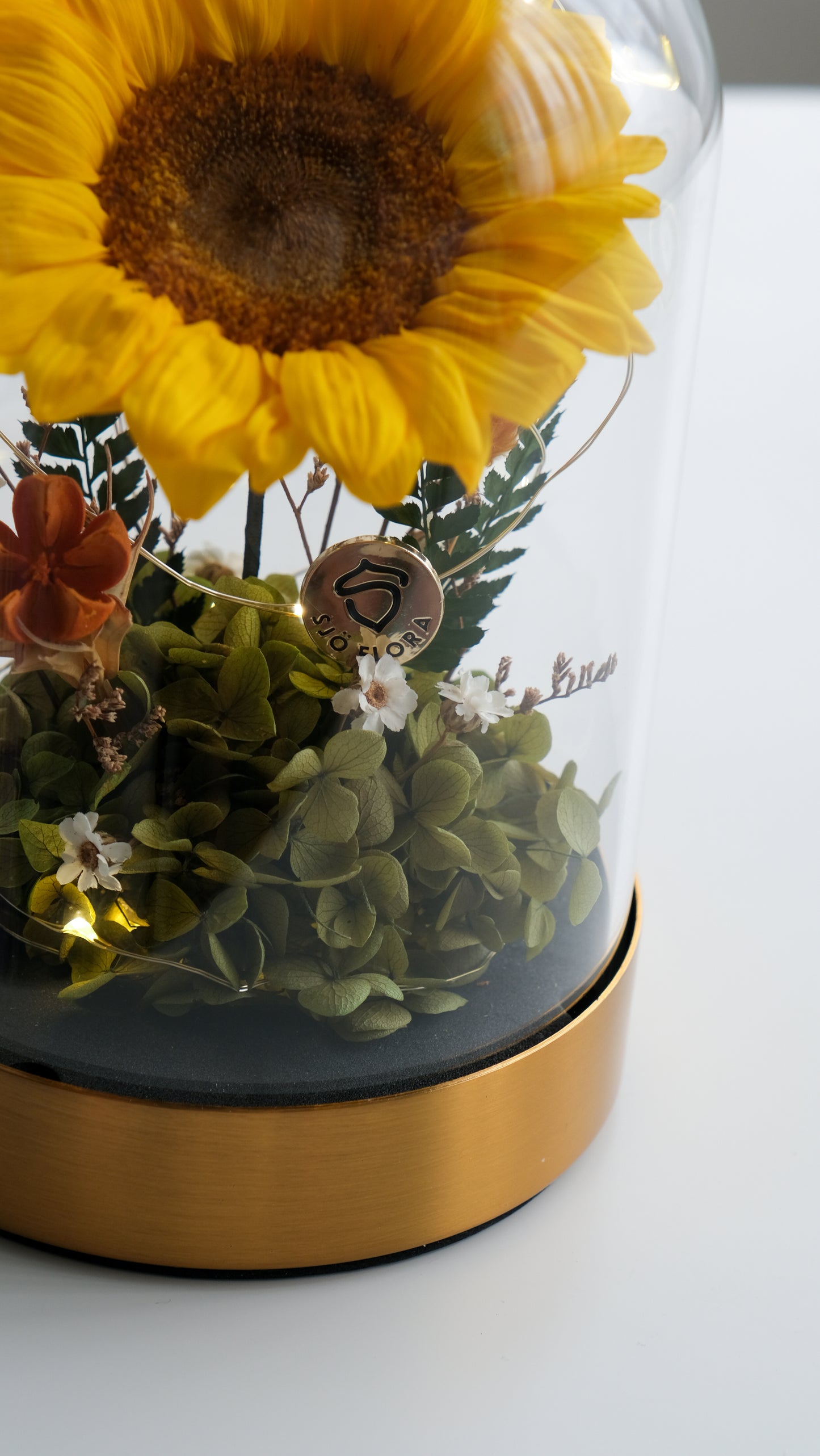 Preserved Sunflower Belljar