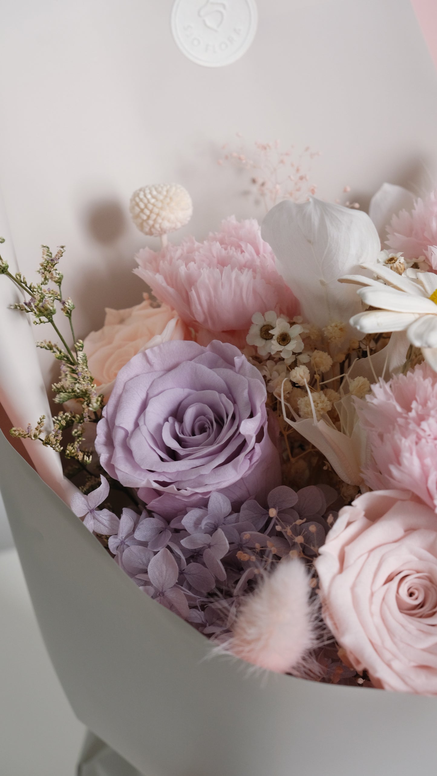 Blush Reverie