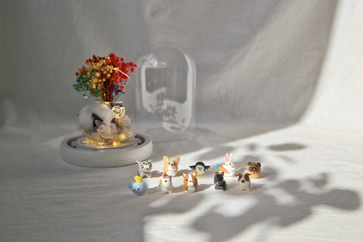 Corgi & Friends