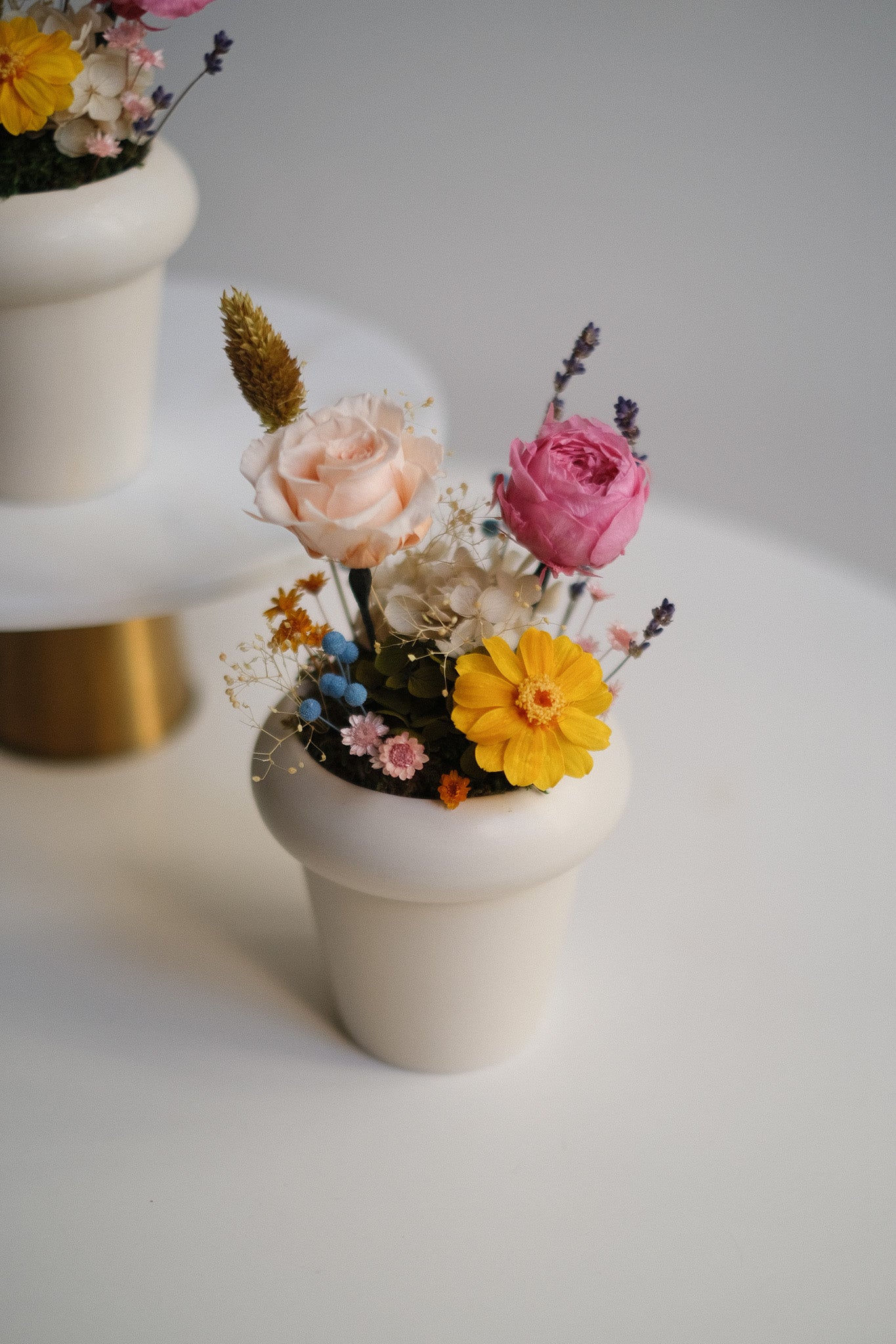 Petite Spring Garden