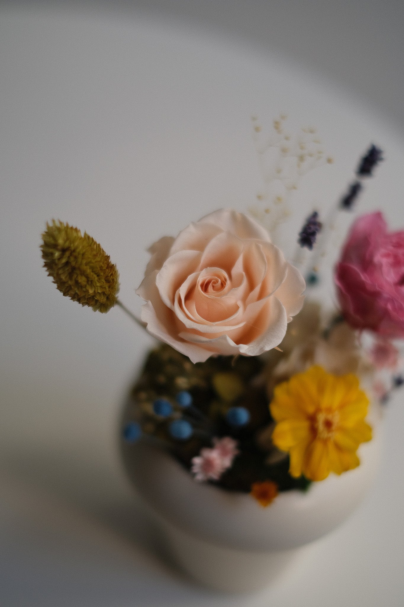 Petite Spring Garden