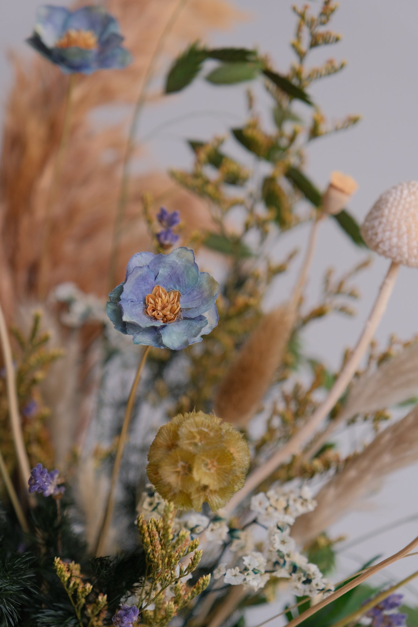 Meadow Symphony