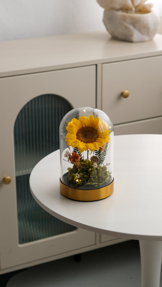 Preserved Sunflower Belljar